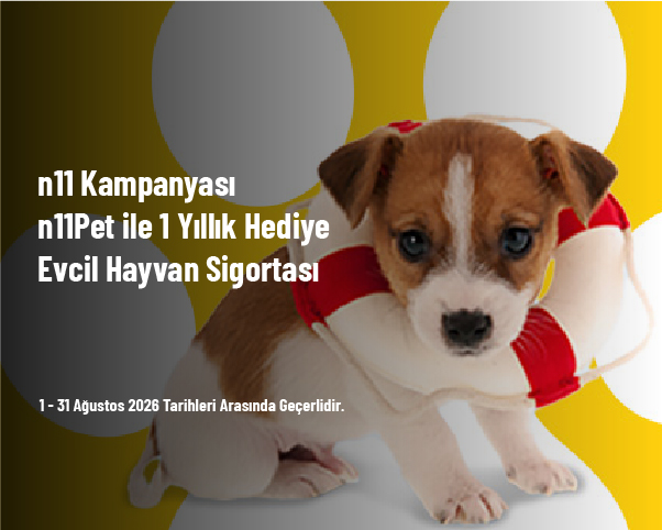n11 Kampanyası - n11Pet ile 1 Yıllık Hediye Evcil Hayvan Sigortası n11 Kampanyası - n11Pet ile 1 Yıllık Hediye Evcil Hayvan Sigortası