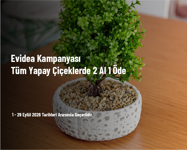 Evidea Kampanyası - Tüm Yapay Çiçeklerde 2 Al 1 Öde